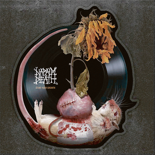 Napalm Death : Stunt Your Growth